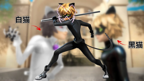 【自制】黑猫×白猫:当黑猫诺儿"遇见"黑化白猫会怎样?你喜欢哪个?