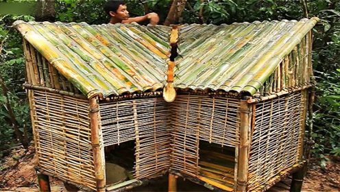 越南小伙建竹房,正在纳闷这么小怎么住,结果他把蟒蛇放进去养