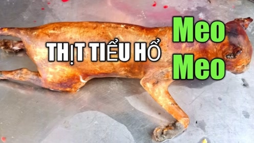 越南人吃猫肉成瘾,当地猫都要被吃绝了,这是什么癖好?