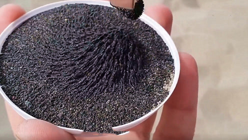 "磁王"钕磁铁的磁力到底有多大?老外将其放在沙子中,画面太壮观了!