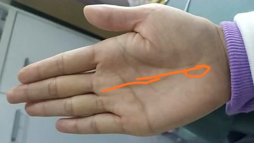 "巨富纹"指的就是这两条手纹,你有吗?