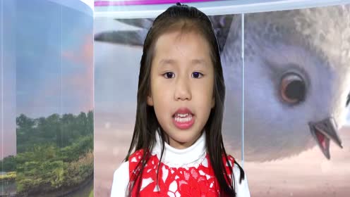 陈雅熙红树林电视节目主持视频