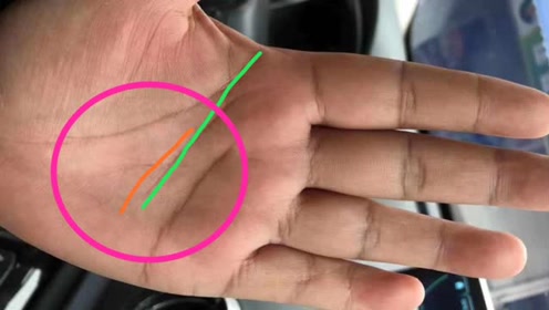 手型不同,适合的事业就不同,来看看你属于哪一种