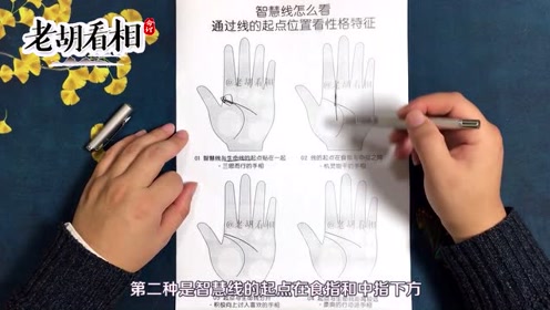 智慧线怎么看?通过线的起点位置看性格特征【老胡看相】