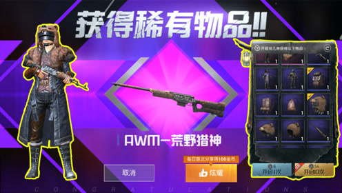 获得awm皮肤爽翻天