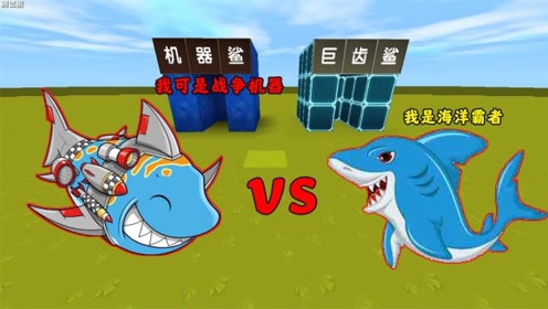 迷你世界:巨齿鲨小表弟,对战机器鲨大表哥,变异鲨鱼能轻松打败小表弟