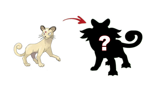 【神奇宝贝】神奇宝贝"进化":猫老大进化变"猫大王",超帅气!