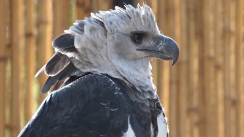 打开腾讯视频看高清全集