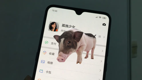 手机里设置一头"猪",有人玩你微信,从屏幕走出来"哼哼叫"
