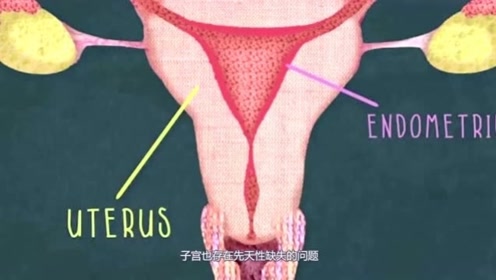 腾讯网