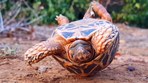 男子野外拍了张照片,回家一看突觉"后怕"