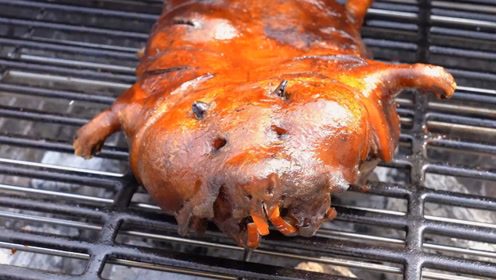 【烤竹鼠】3斤大的竹鼠用华农的腌制发放,先卤后烤,味道很香