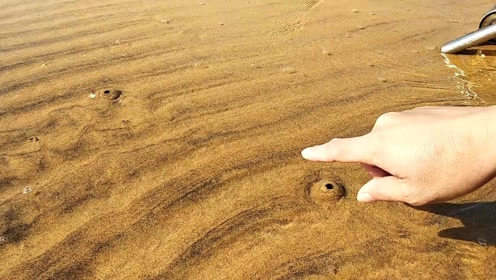 蛤蜊?海肠?这种小洞要留意了,底下指不定就有美味!