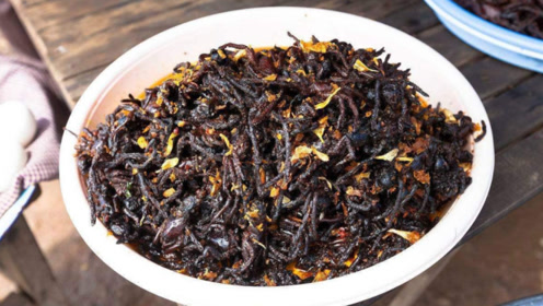 柬埔寨最有名的美食,油炸毒蜘蛛,这也太重口味了吧!