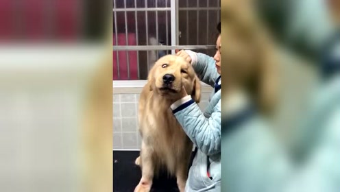 你小时候妈妈给你梳头可能也是这样的,注意眼神!