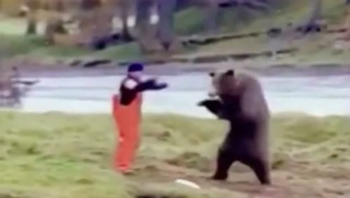 俄罗斯的熊和俄罗斯人打架,竟然还会中国功夫, 战斗民族的熊就是不一