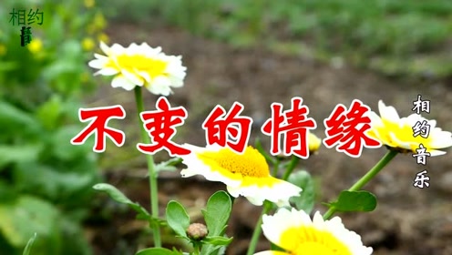 一首情歌对唱《不变的情缘》句句情深,醉人醉心,好听醉了!