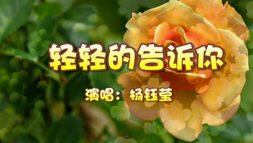 "甜歌皇后"杨钰莹《轻轻的告诉你》,生活有多么美好