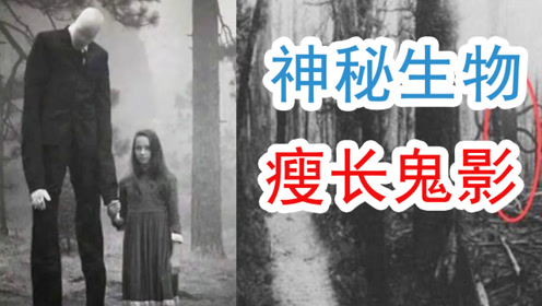 神秘的超自然生物,瘦长鬼影