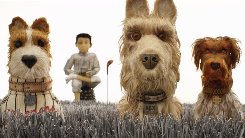 《犬之岛》定档预告 小男孩开启奇妙寻狗之旅