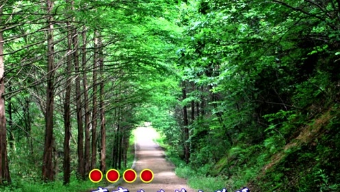 龙飞一首新歌《小路》,激起多少游子的思乡之情