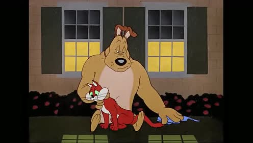 兔八哥:狗狗给小猫咪打扮!为它戴上了蝴蝶结!