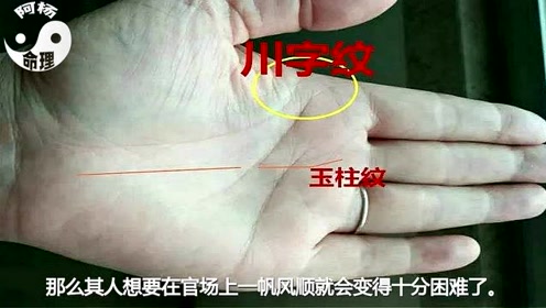 绝对当官的女人手相,9个标志特征看出官运好坏,你上榜了吗?