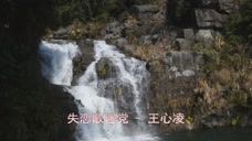 失恋歌迷党 求真百科