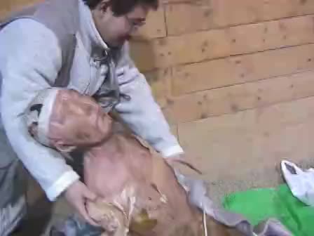 按照进度，对马的捕捉必须在冬天进行，为此制作组吃了不少苦头