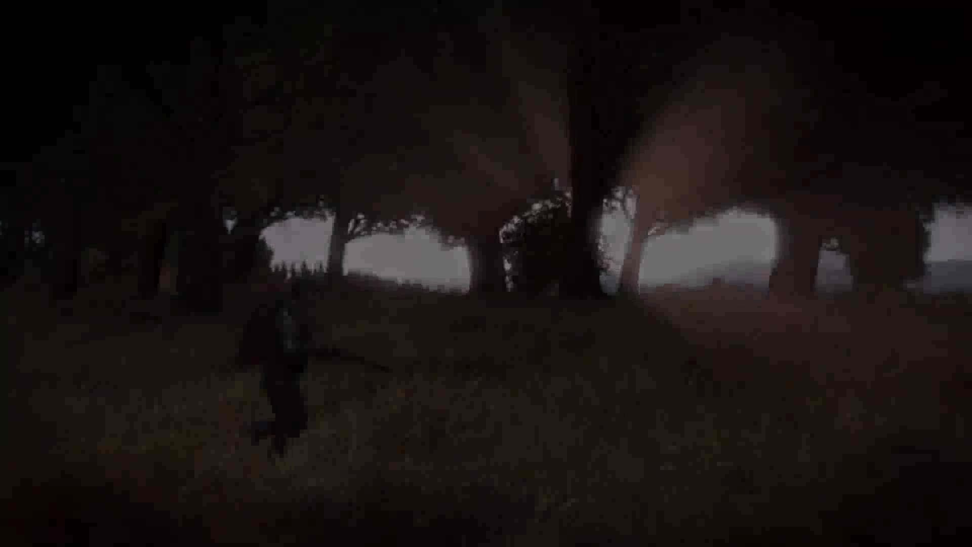 僵尸末日游戏视频
